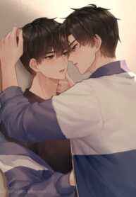 Mỗi Ngày Một Viên Kẹo