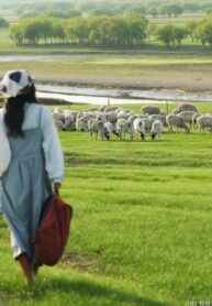 Cây Bút Ngày Thi Đại Học