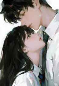 Hợp Đồng Chỉnh Trà Xanh