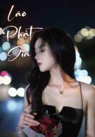 Hồng Trần Báo Ứng